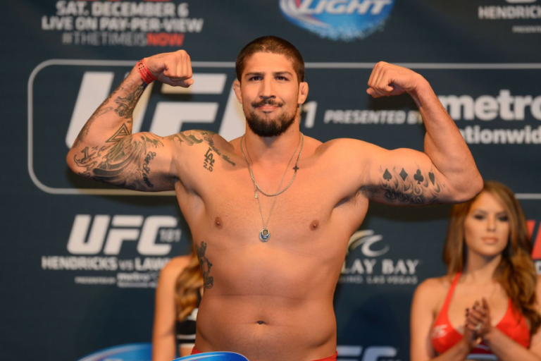 brendan schaub net worth